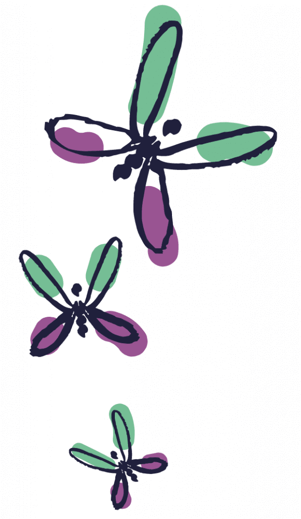 butterflies